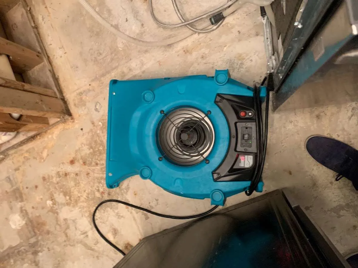 Air mover drying equipment for Mold Remediation & Removal in Buena Park
